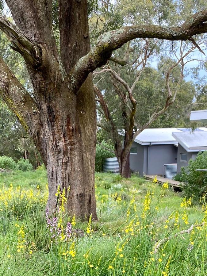 Messmates Luxury Eco Suites Inverloch Eksteriør billede